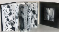 Maturité du Vide — miniature 2